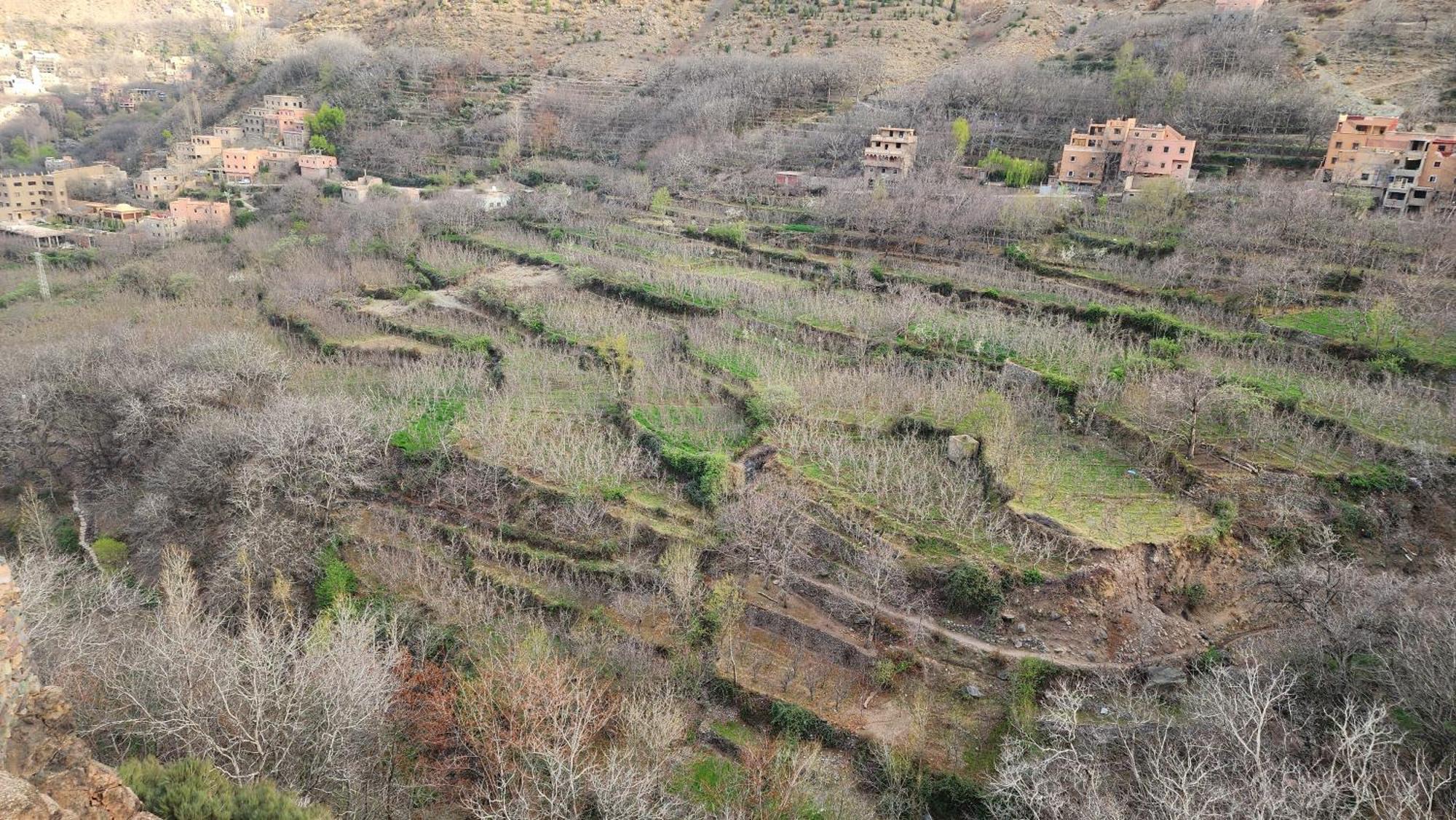 Gite Atlas Mazik Imlil  Rom bilde